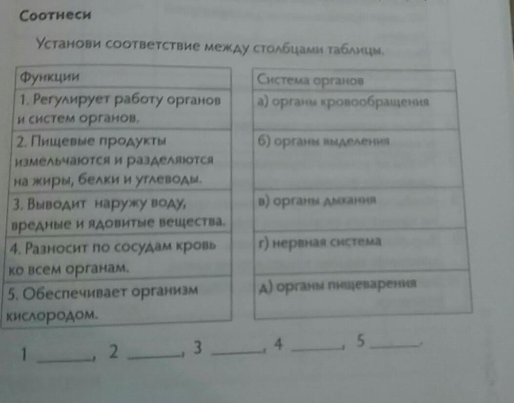 Установите соответствие между столбцами таблицы. Установите соответствие между столбцами. Установите правильное соответствие между столбцами в таблице. Заполните последний столбец таблицы представители рыб.