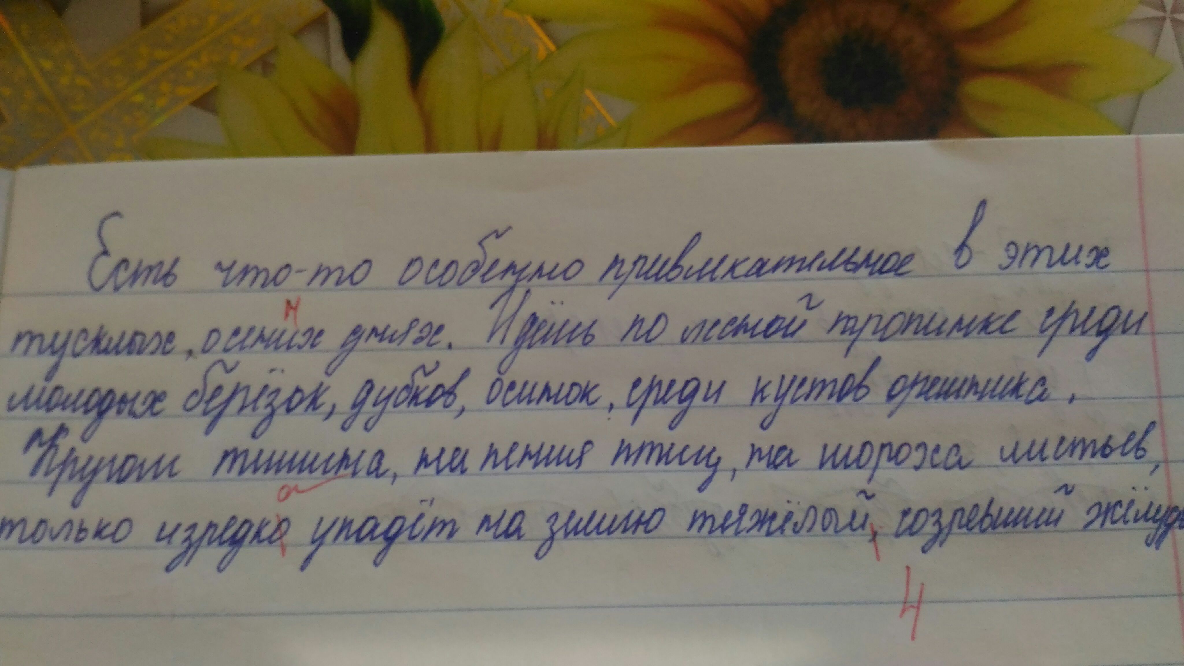 Проверка Диктанта На Ошибки По Фото