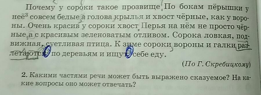 Г скребицкий по бокам перышки совсем белые. У сороки по бокам перышки совсем белые. Очень красив у сороки хвост грамматическая основа. У по бокам перышки совсем белые. Почему у сороки такое прозвище грамматическая основа в предложении.