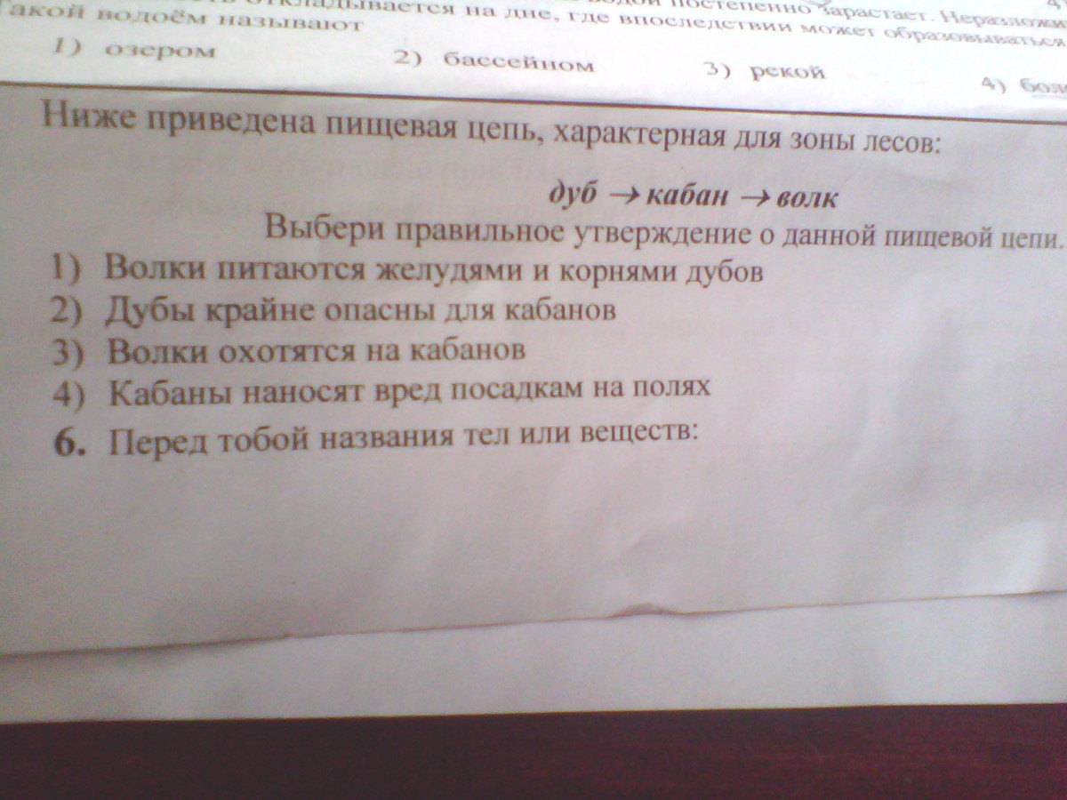 Отметьте правильное утверждение. Выберите правильное утверждение о данной пищевой цепи. Выберите правильные утверждения, характеризующие алюминий.. Дуб кабан волк пищевая цепь выбрать правильное утверждение.