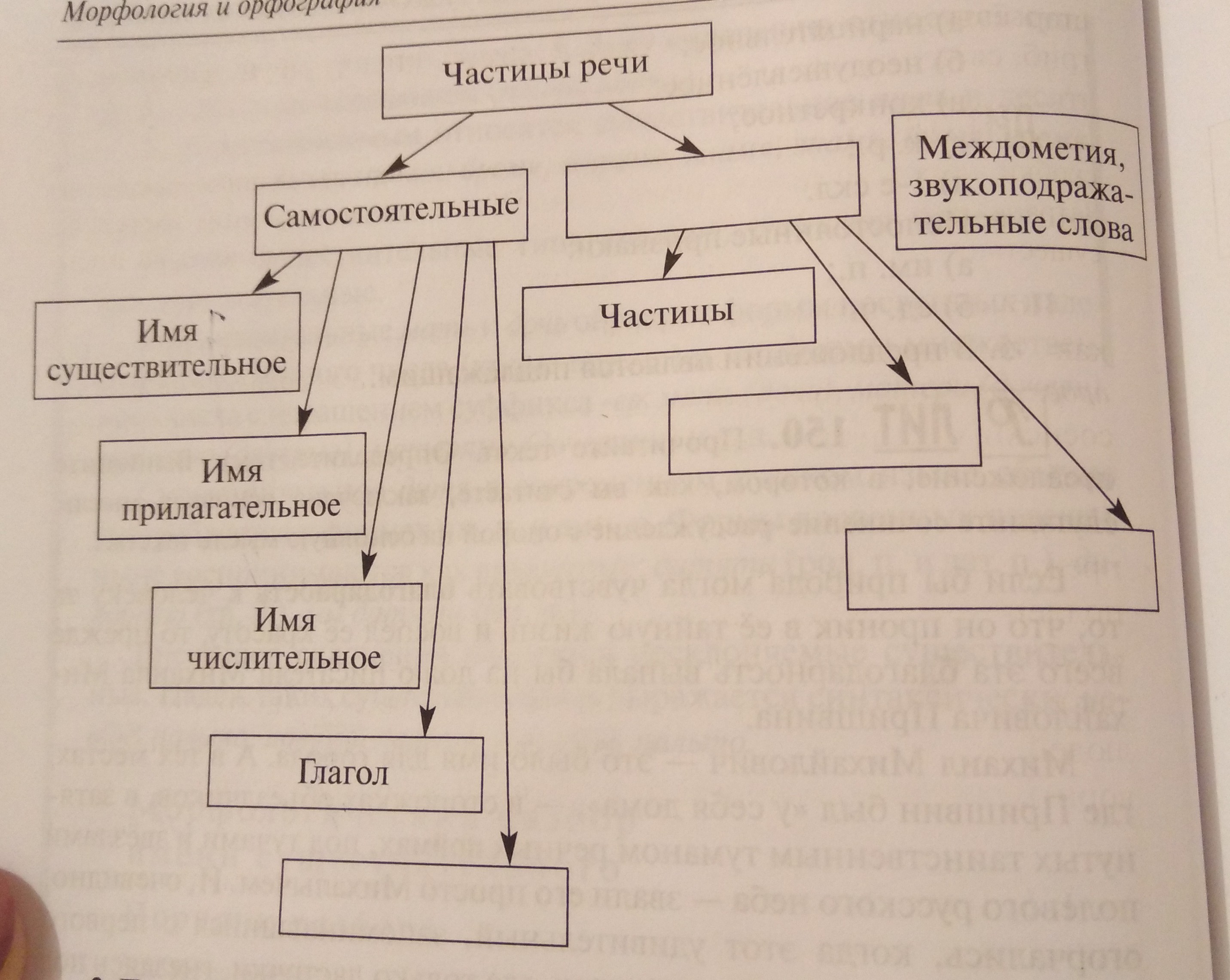 Выпишите в цепи питания недостающие звенья используйте картинки подсказки