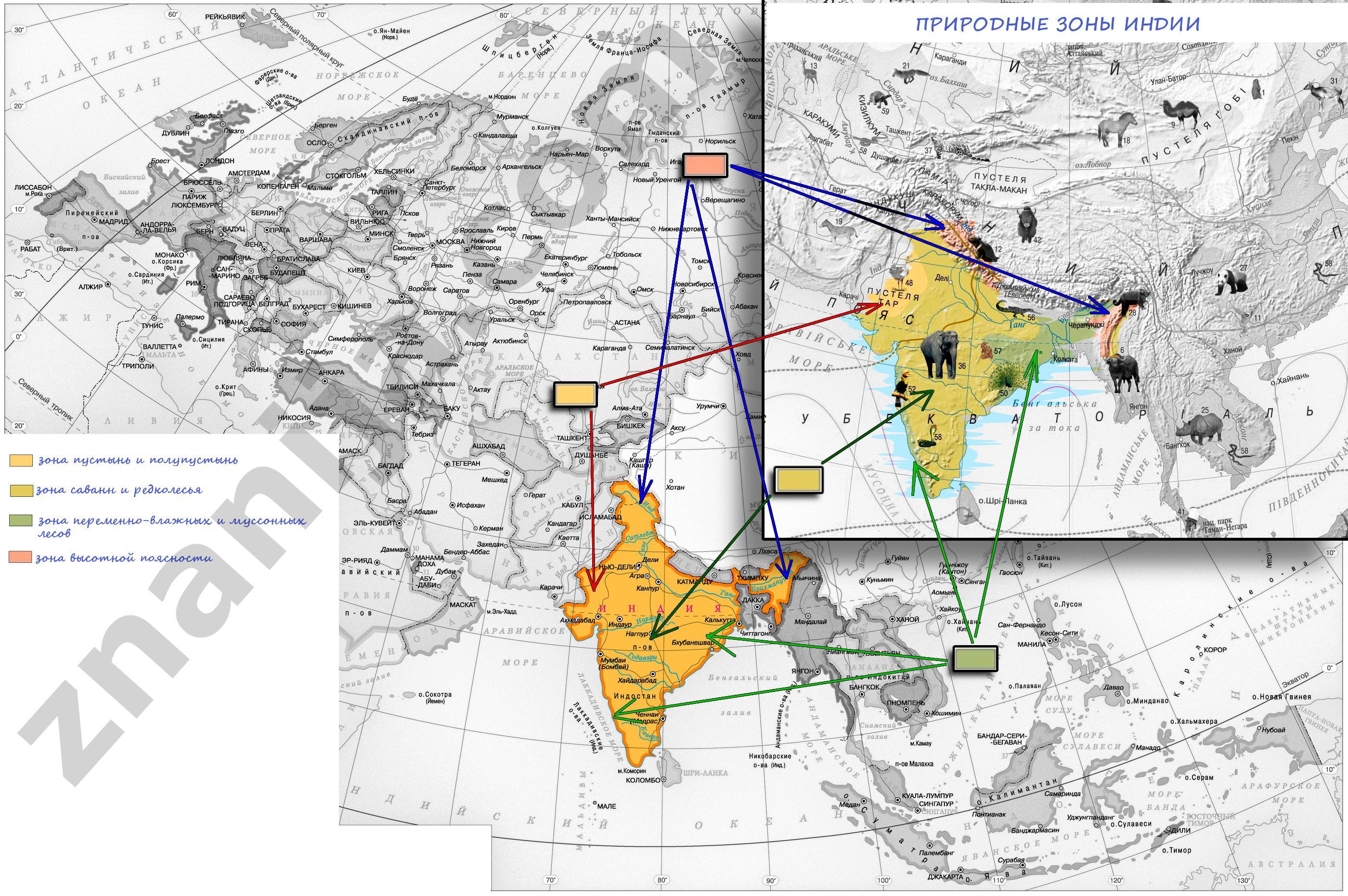 Природная зона индостана. Природные зоны Индии. Природные зоны Индии Индии. Карта природных зон Индии. Вест Индия природные зоны.