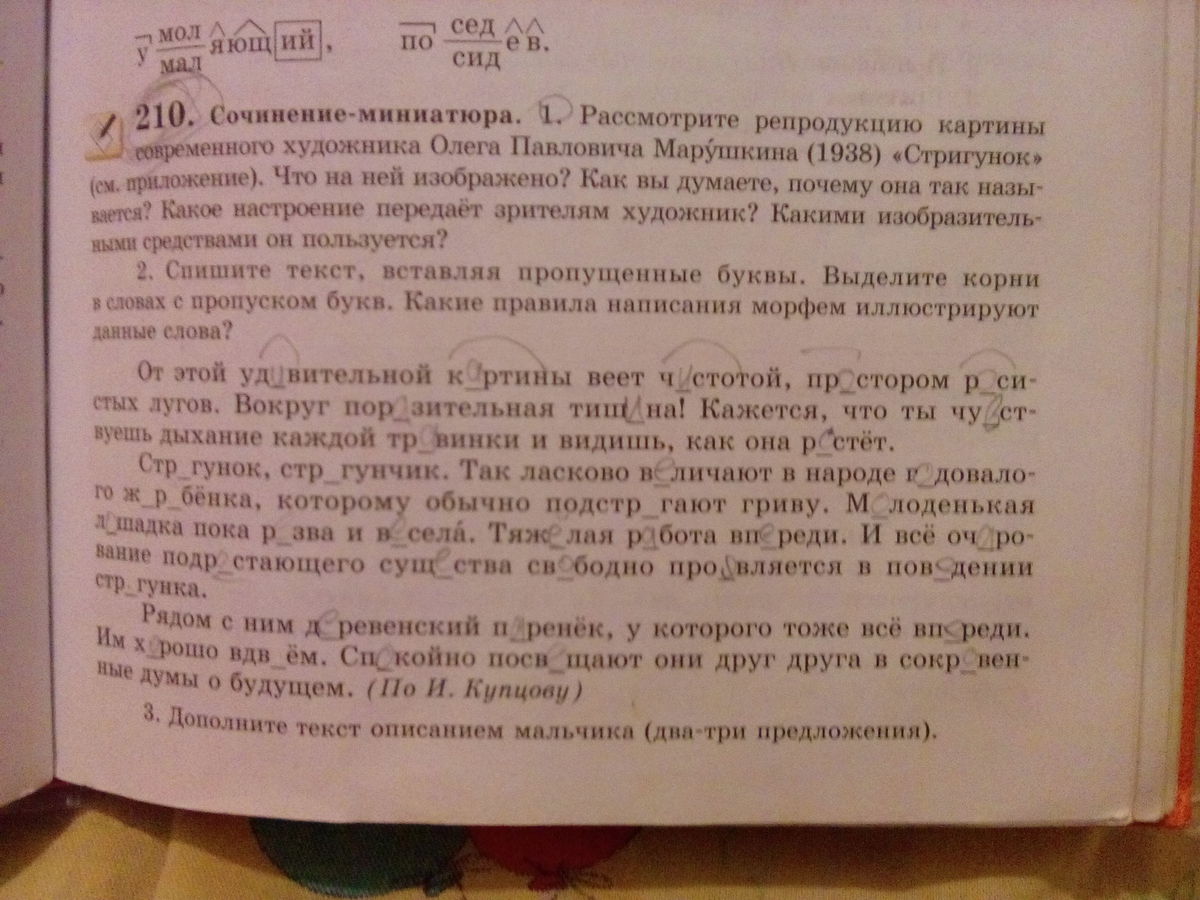 Русский язык стр 112 упр 210. Русский 5 класс упр 210. Пожар в лесу сочинение миниатюра.