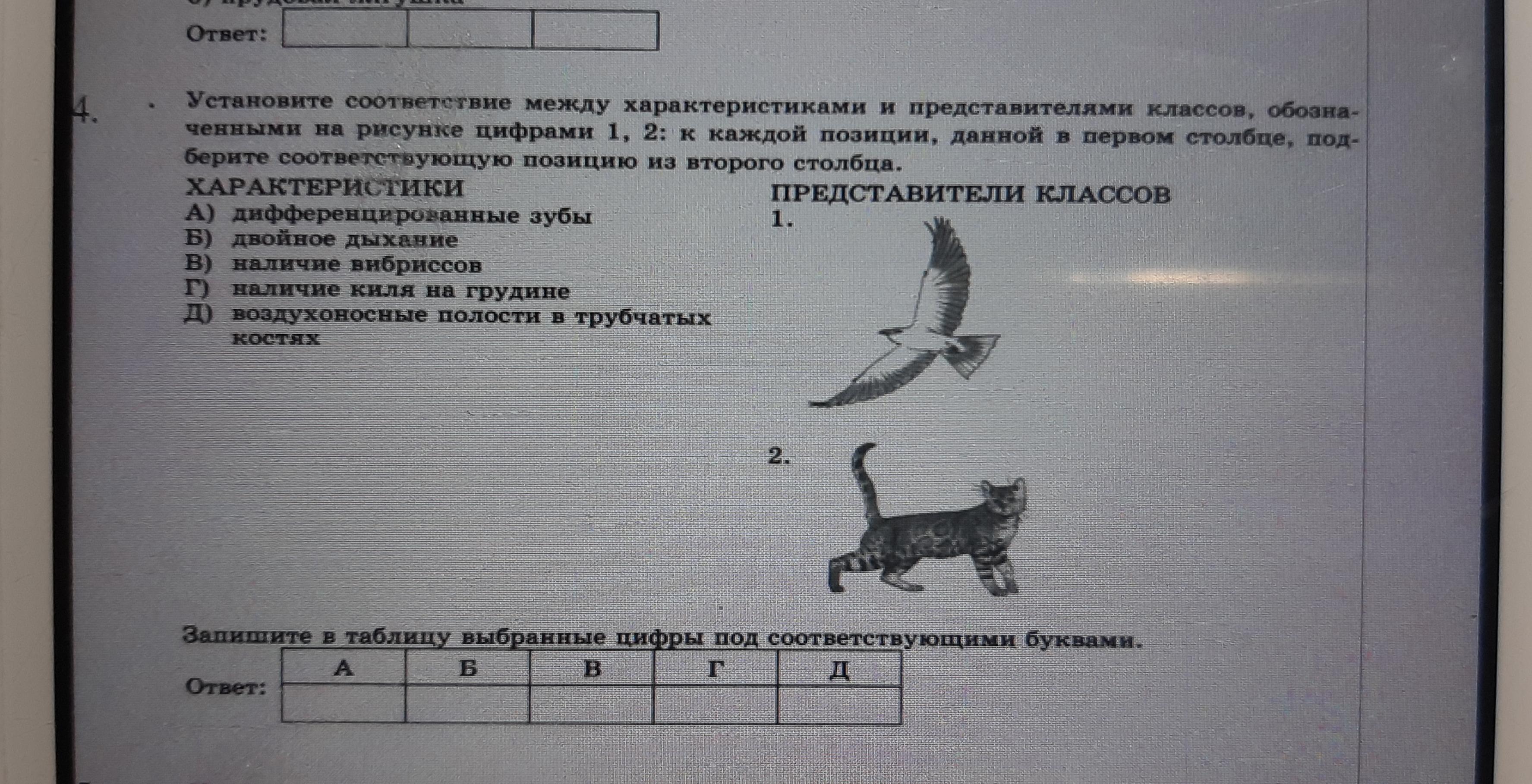 Установи соответствие между классом животных. Установите соответствие между позициями на рисунке и частями тела. Установите соответствие между объектом и цифрой на рисунке. Установите соответствие цифр на рисунке название разъема. Установите соответствие между картинами мира и их представителями:.