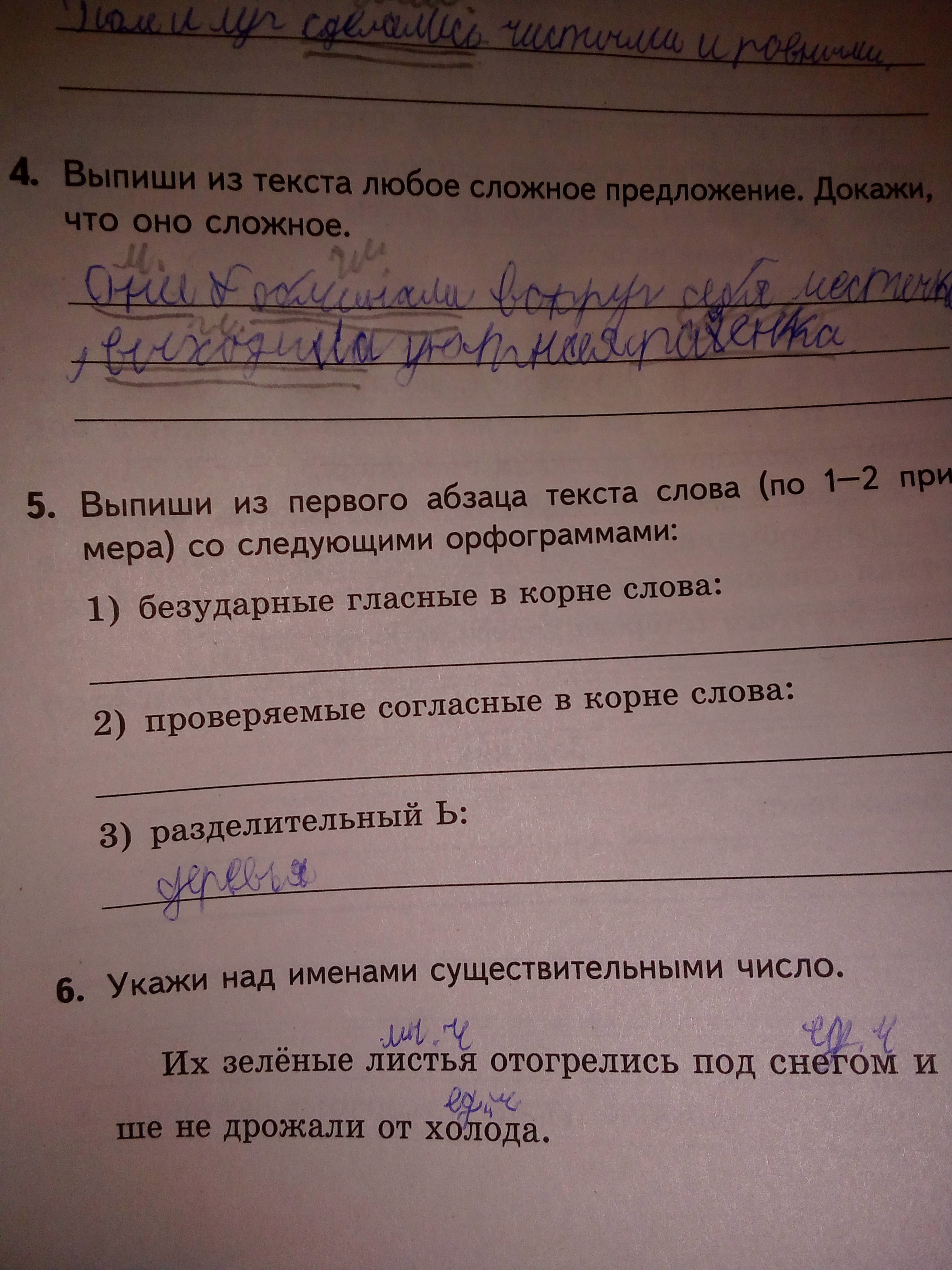 Выпиши из третьего абзаца слова подходящие к схеме 3 класс