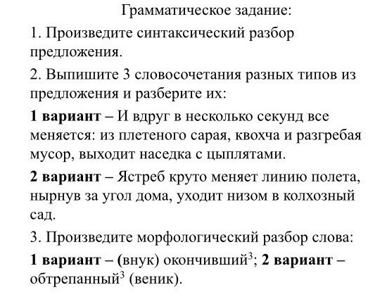Сокол пилигрим. Лунь канюк тетеревятник. Орел сокол ястреб сапсан. Ястреб птица. Летающий ястреб.