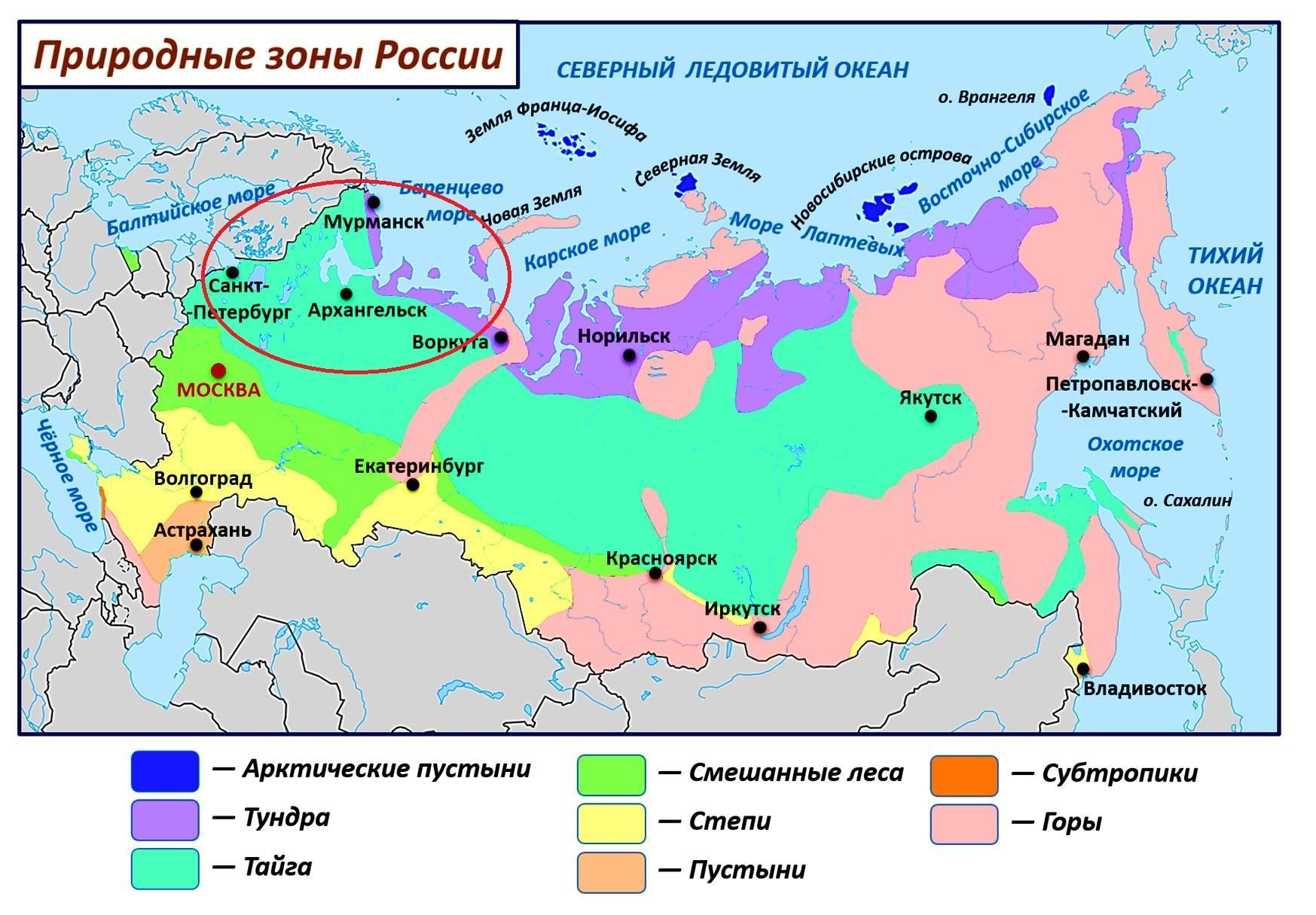 Карта рф тайга