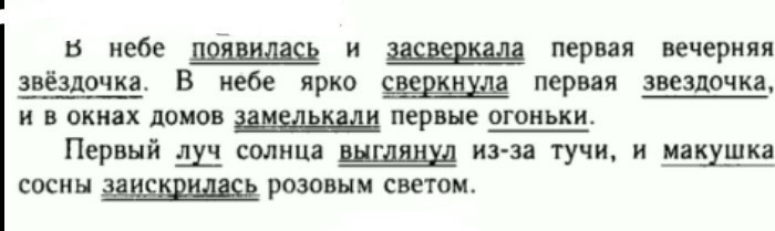 На небе ярко сверкнула первая звездочка а в окнах домов замелькали огоньки запятые
