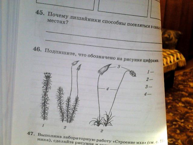 Что обозначено на рисунке цифрами 1 6