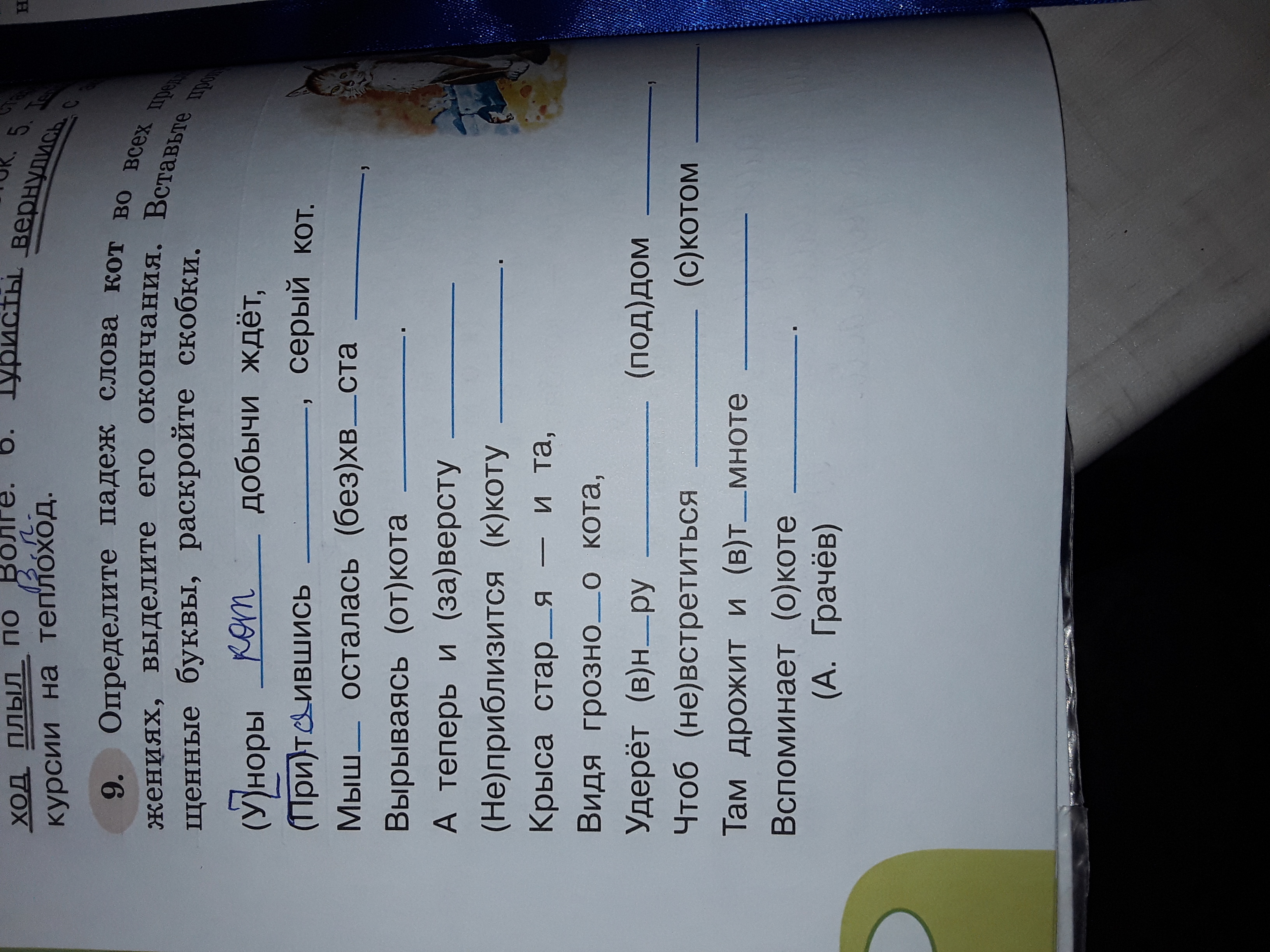 Кота падеж какой