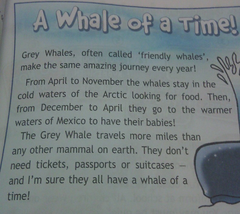 Переведите пожалуйста. Grey Whales often Called friendly Whales make the same amazing Journey every year перевод на русский. Grey Whales often Called friendly Whales make the same amazing Journey every year. Often Called перевод. Grey Whales информация.