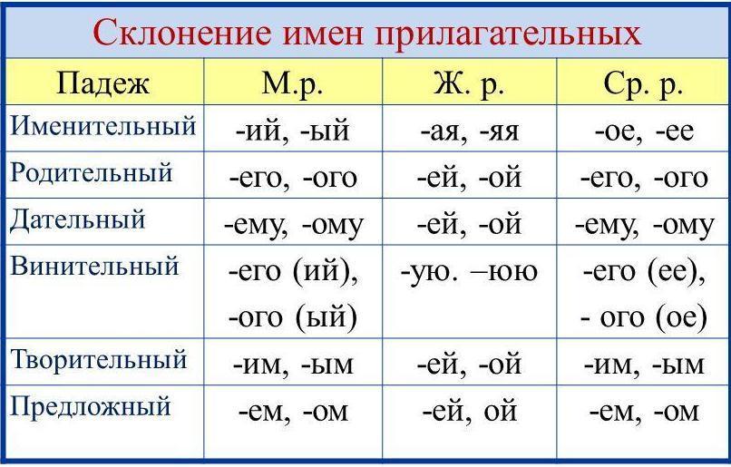 Окончания прилагательных картинки