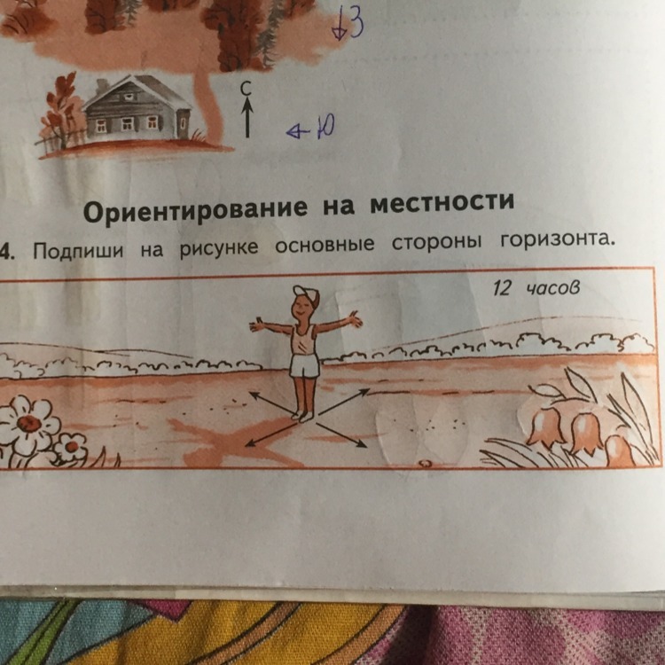 Подпиши сторону. Подпиши основные стороны горизонта. Подпиши на рисунке основные стороны горизонта 12 часов. Подпиши на рисунке основные стороны горизонта. Подпиши основные стороны горизонта 3 класс.