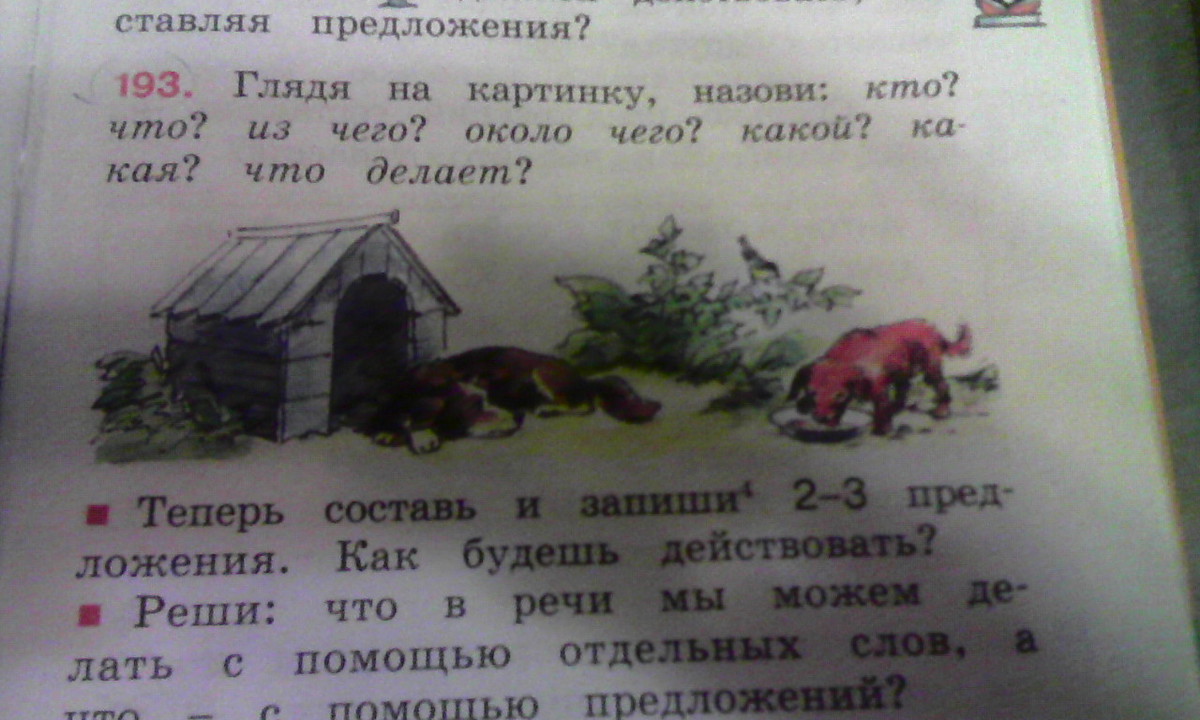 Соотнесите иллюстрации и текст. Предложение со словом колючий и пушистый. Пушистый колючий составить предложение. Колючий составить предложение 1 класс. Составить предложения с любым словом колючий и пушистый.