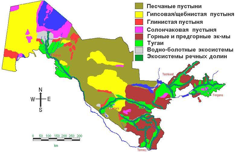 Климатическая карта узбекистана