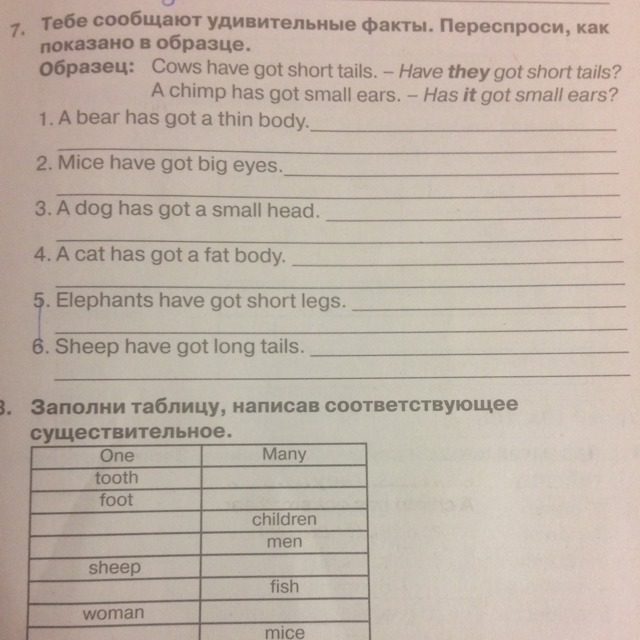 Заполни таблицу написав соответствующее