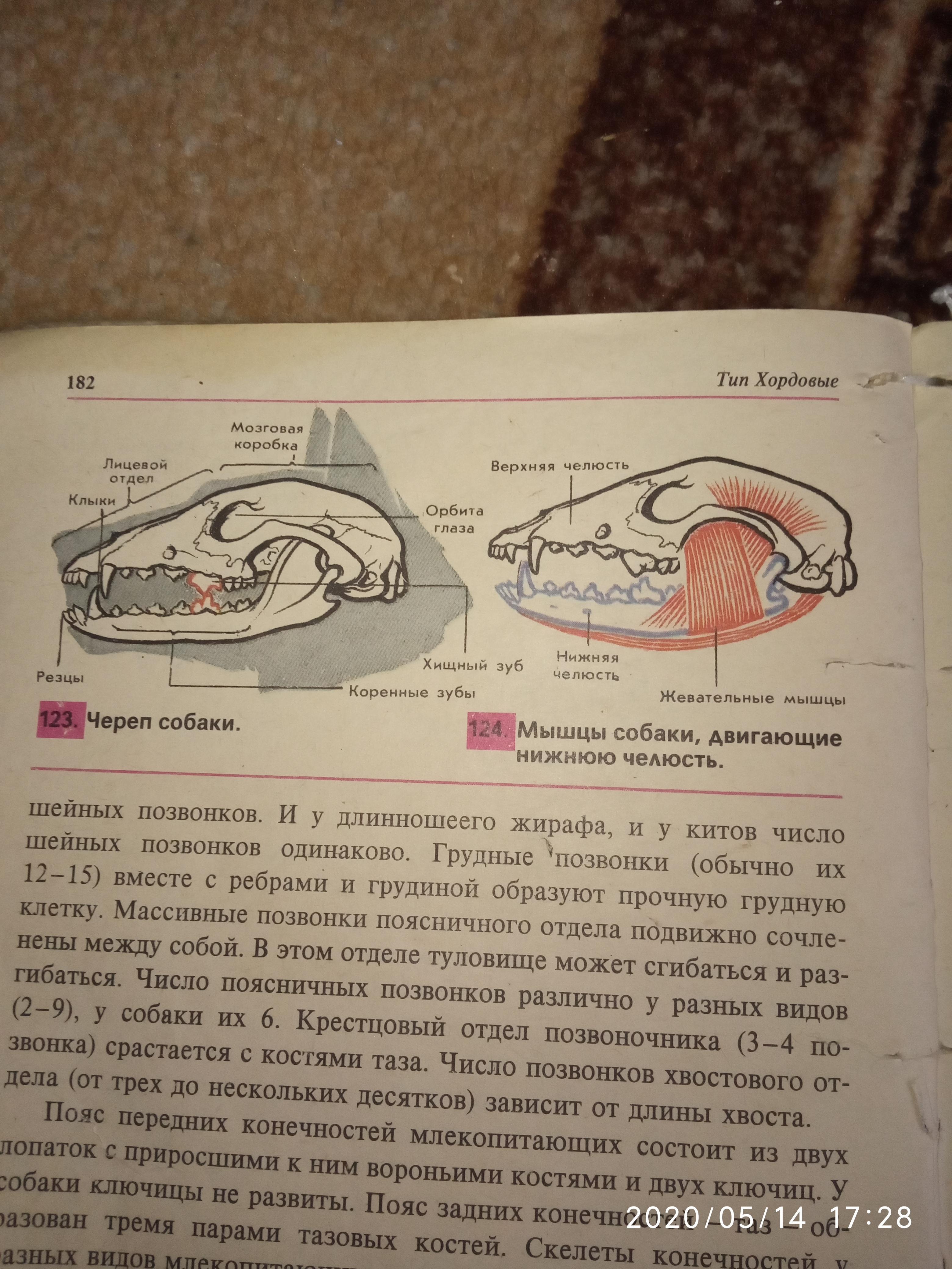 Пользуясь рисунком 123