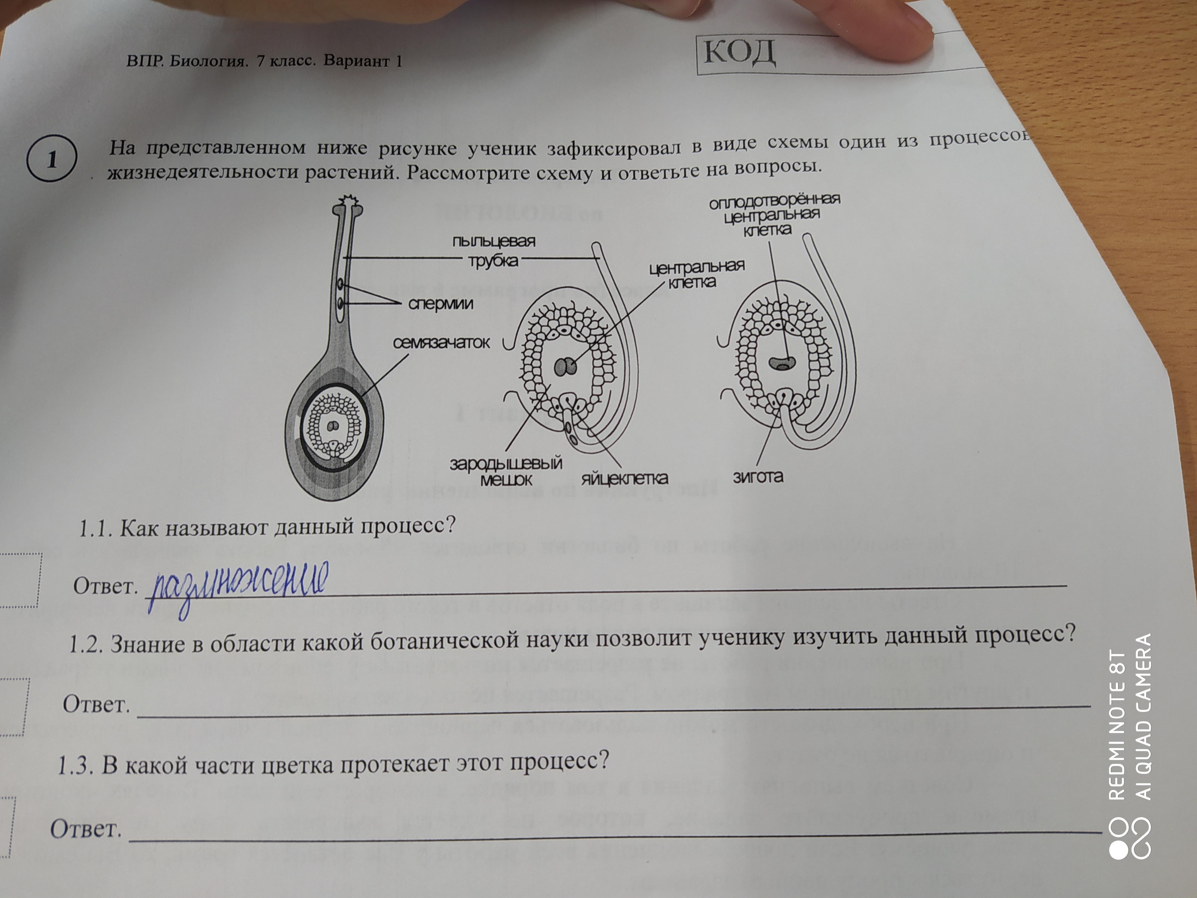 Впр ответы белую ночь