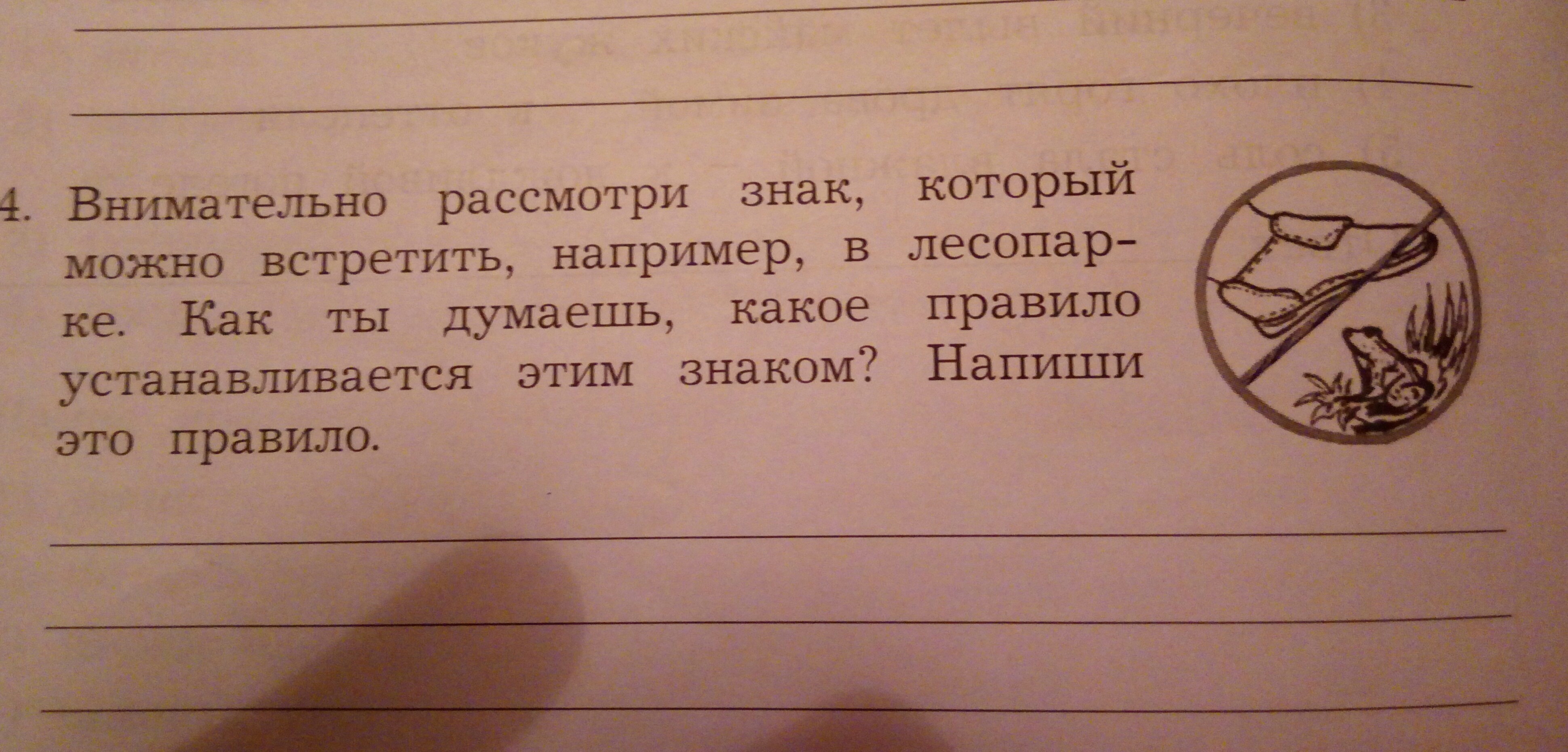 Как вы думаете какое правило устанавливает