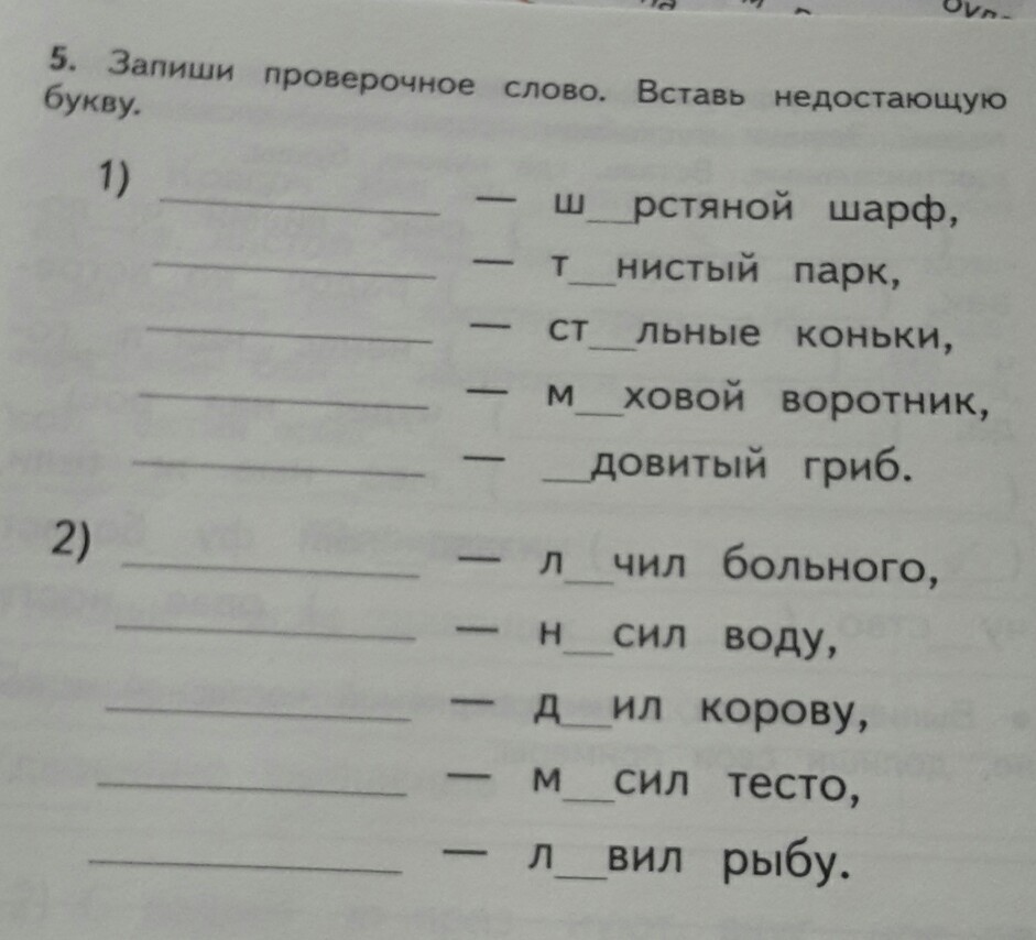 Подбери и запиши проверочные слова вставь пропущенные буквы образец ловок ловкий