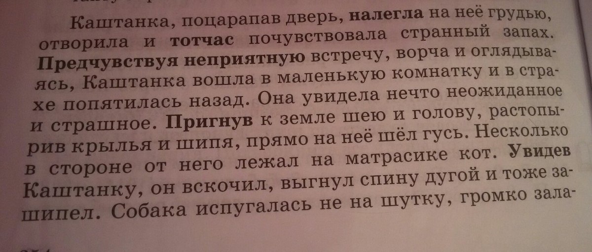 Предчувствуя неприятную встречу каштанка вошла в комнату запятые