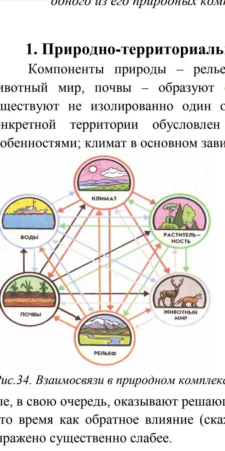 Чем отличается природный комплекс от природного компонента. Схема природного комплекса. Схема природных компонентов. Схема взаимосвязей между компонентами природного комплекса. Схема природного комплекса степи.