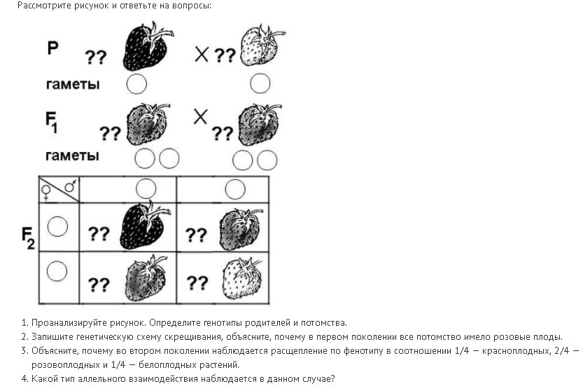 Задание цдз