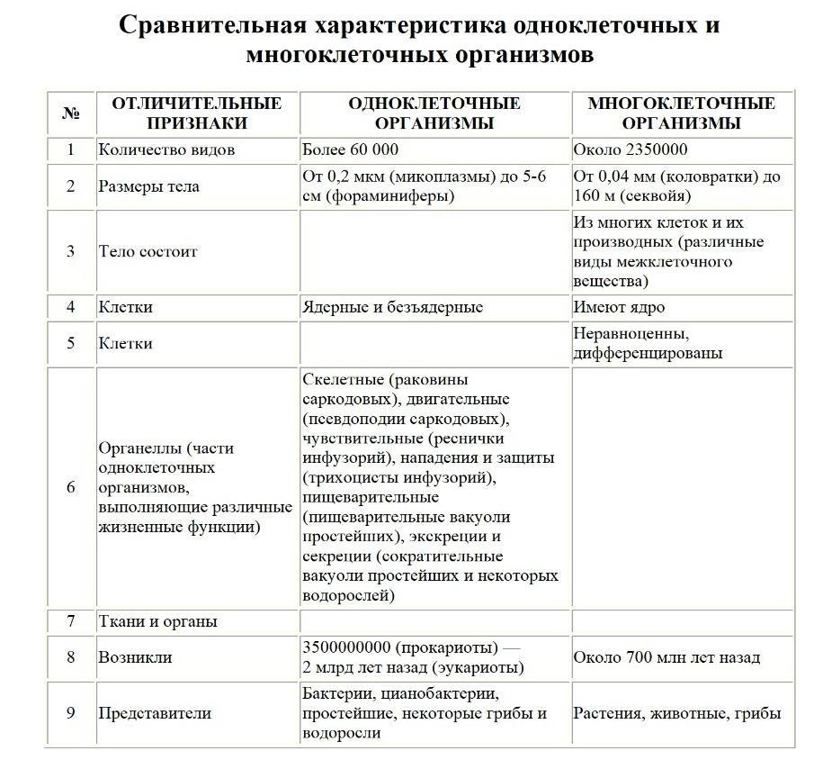 Сравнительная характеристика живых организмов таблица Сравнительная характеристика одноклеточных и многоклеточных организмов хэлппп