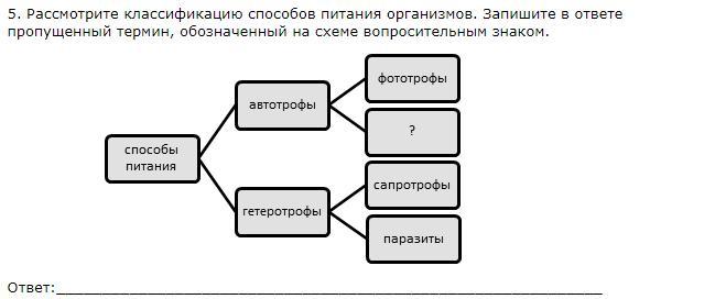 Рассмотрите схему запишите в ответе пропущенный термин обозначенный на схеме