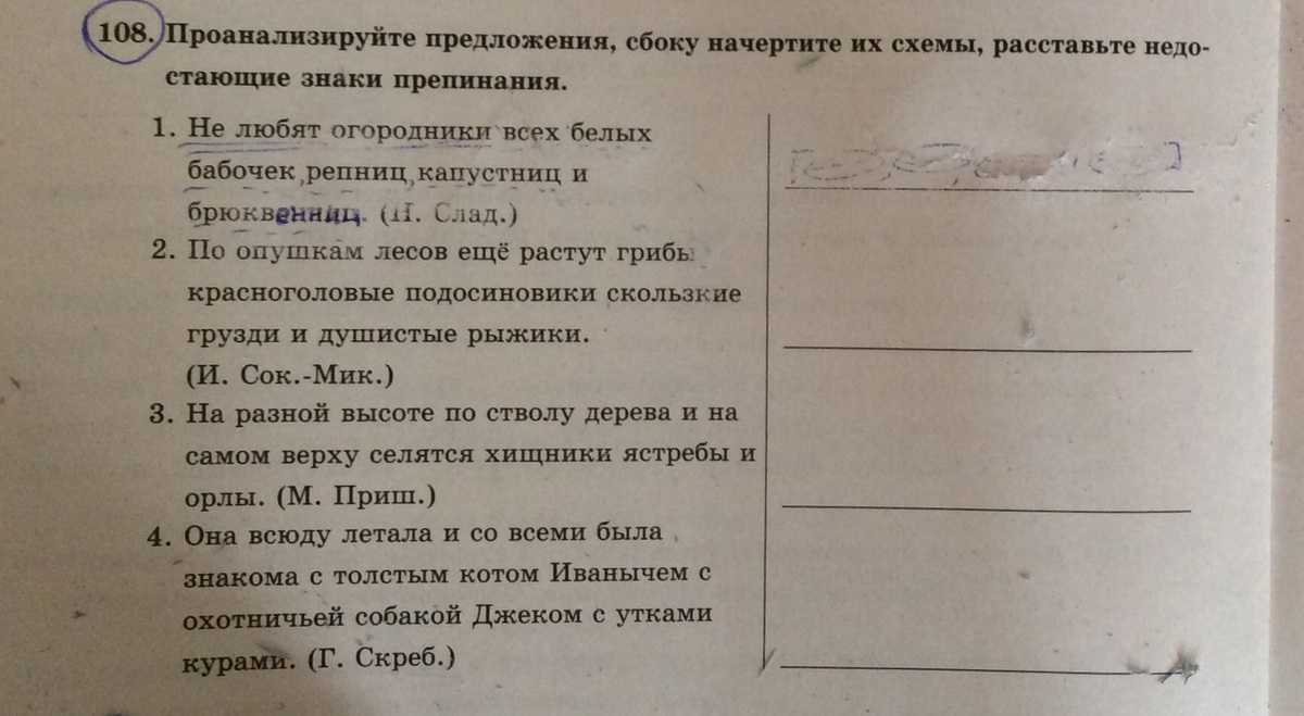 Не любят огородники всех белых бабочек ресниц капустниц и брюквенниц схема