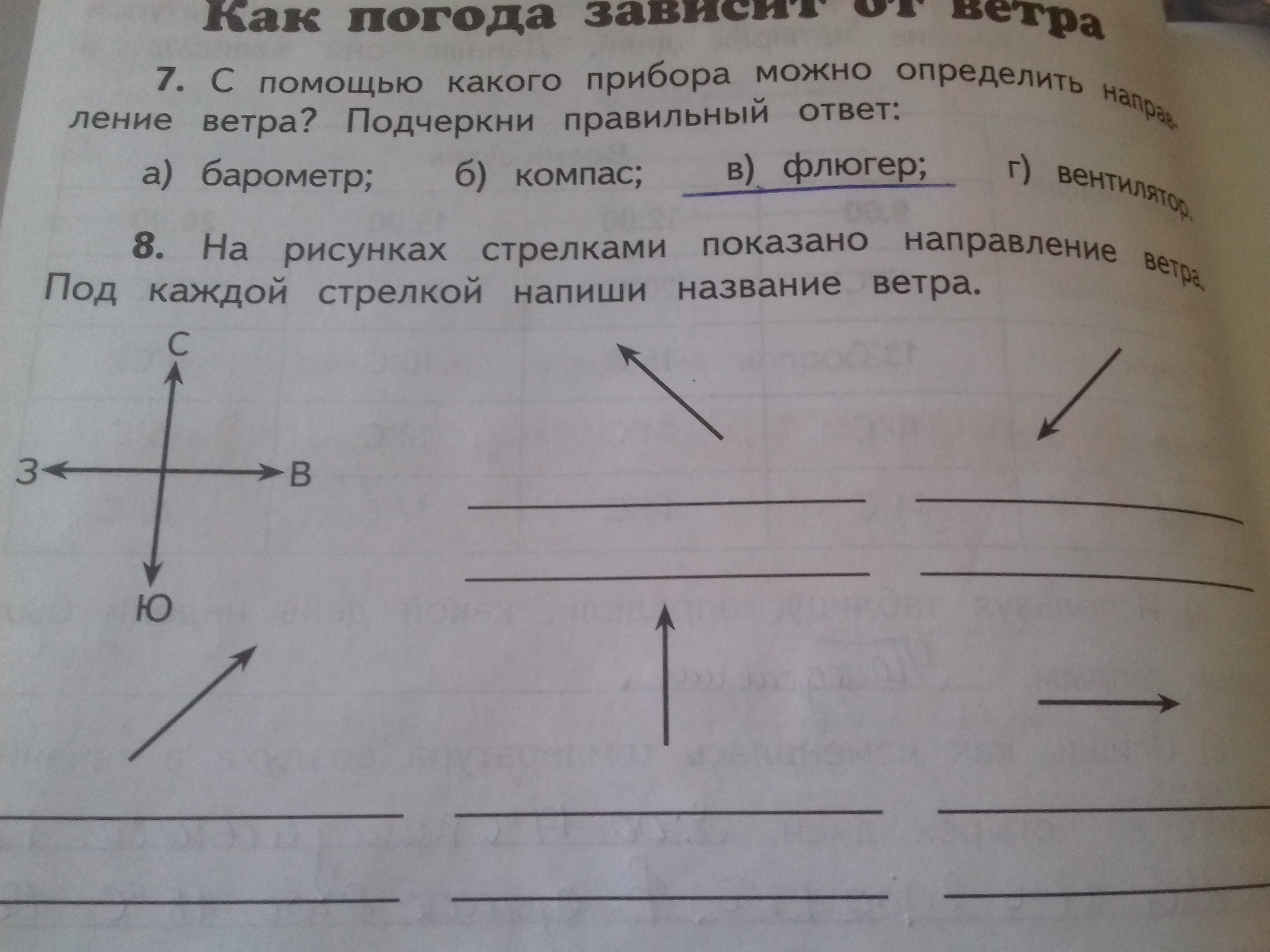 Назовите ветер который изображен на рисунке