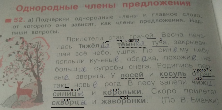 Зашевелились тревожно зашумели застонали заскрипели над головой сосны схема