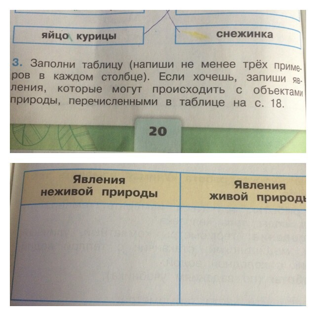 Запишите в таблицу каким будет изображение в каждом из указанных случаев физика 8