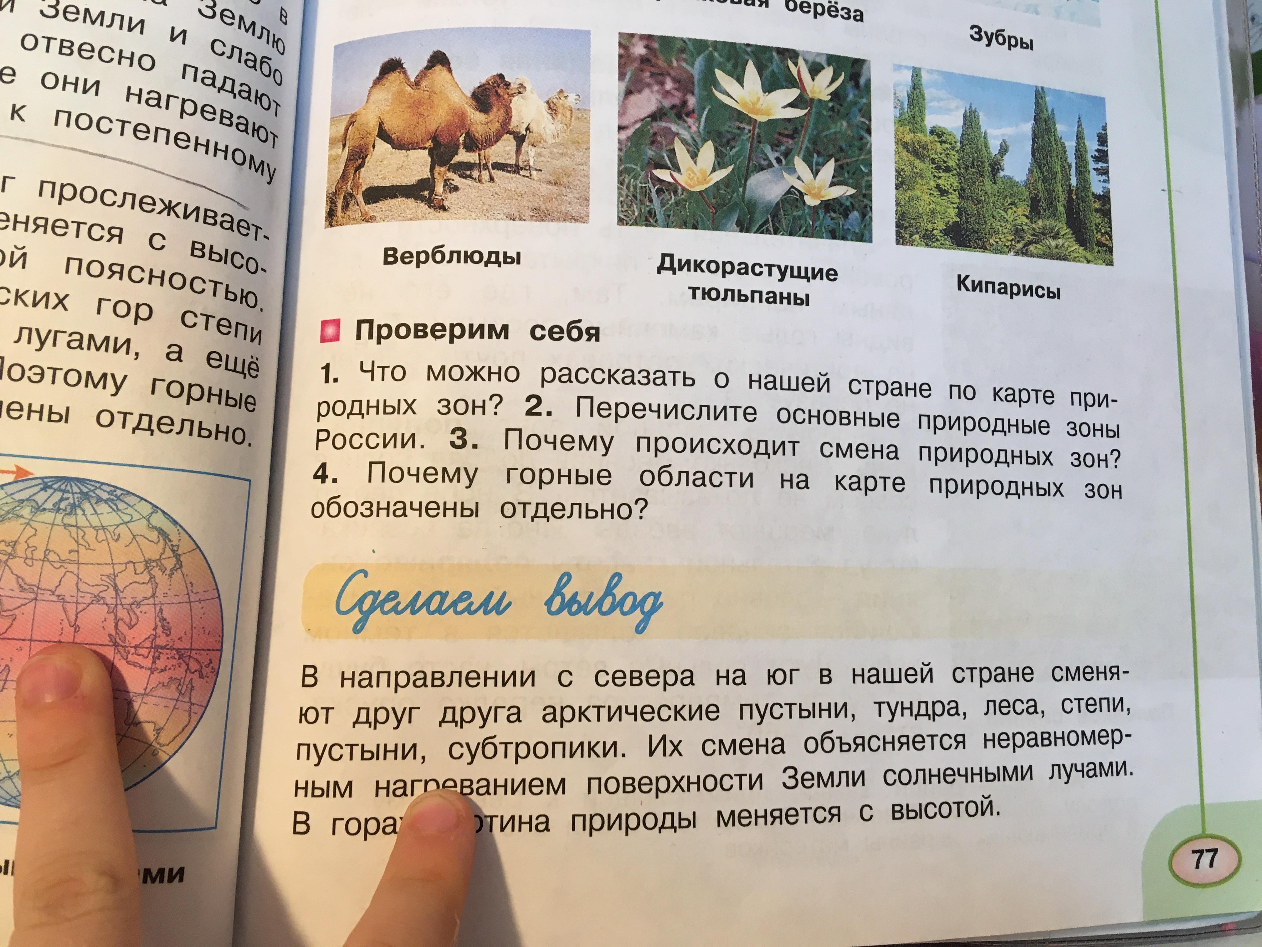 Почему происходит смена природных зон 7 класс. Почему происходит смена природных зон 7 класс