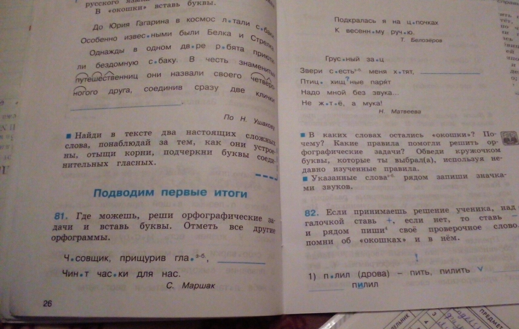 Реши орфографические задачи запиши. Орфографические задачи для 4. Обозначь границы предложений реши орфографические задачи. Реши орфографические задачи думать по русски задание русский. Решить орфографические задачи 3 класс русский язык слово сторона.