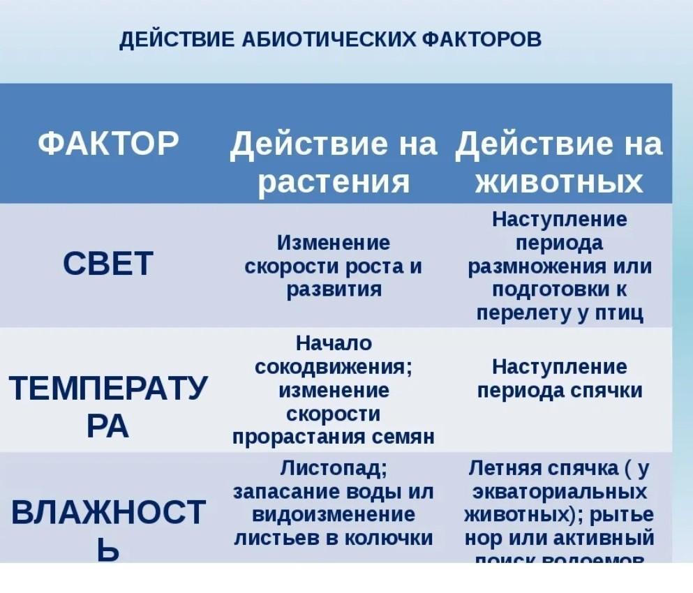 Таблица факторы примеры. Характеристика абиотических факторов среды. Влияние абиотических факторов. Абиотические факторы таблица. Абиотические факторы среды таблица.