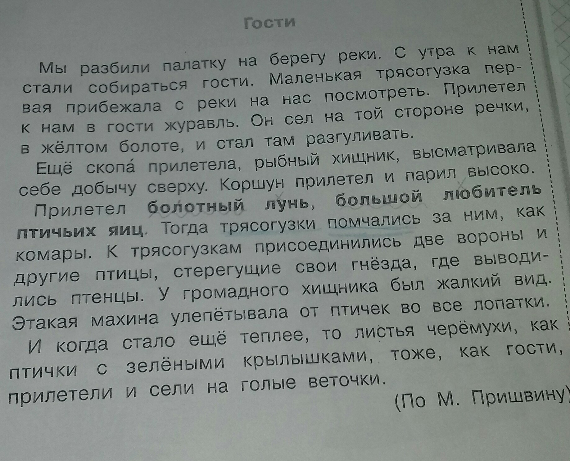 Текст 2 3 абзаца. Сочинение на тему гардероб 2200. Гардероб 2200 года сочинение. Сочинение 3 абзаца 2 класс. Сочинение на тему гардероб 2200г.