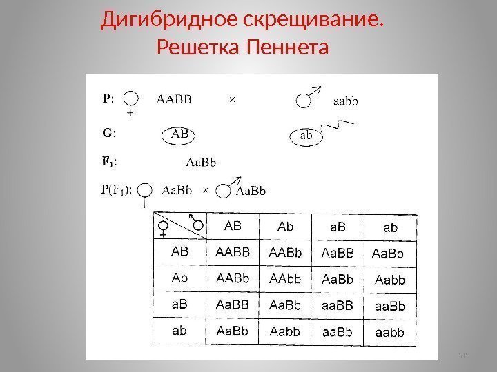 chemistry Zadoenko Svetlana: 03.04.2020 Элективный курс по биологии 10 класс