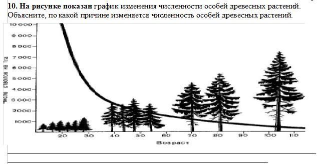 Неизвестные причины изменяют ход картины