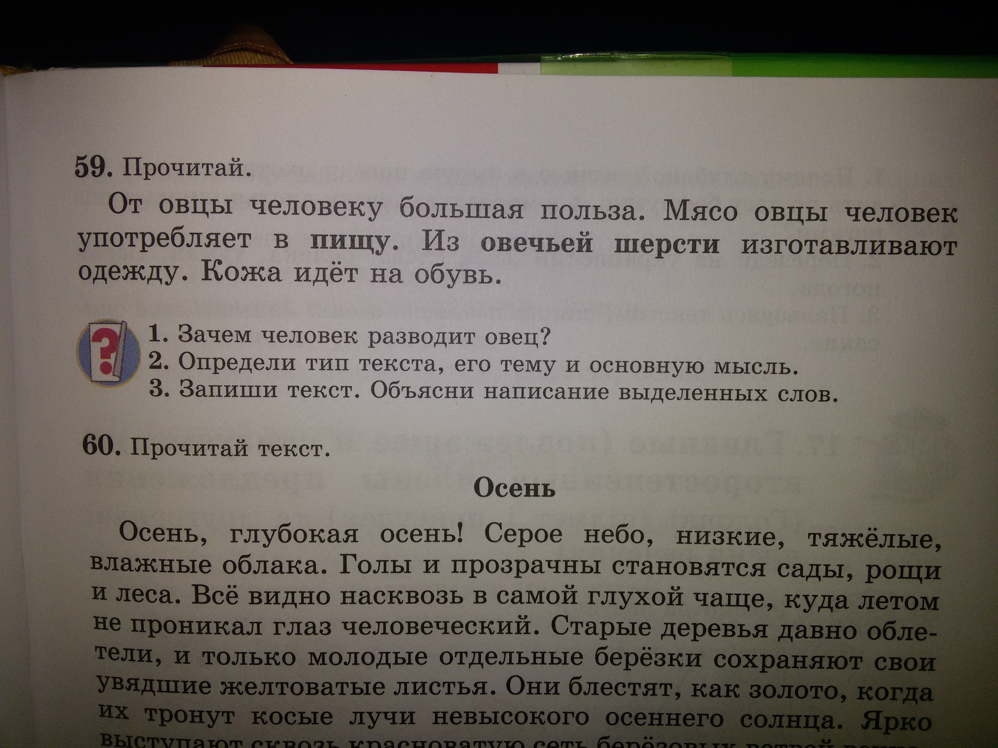 Русский язык упражнение 59. Упражнение 59 русская речь сочинение медведь и черепахи.