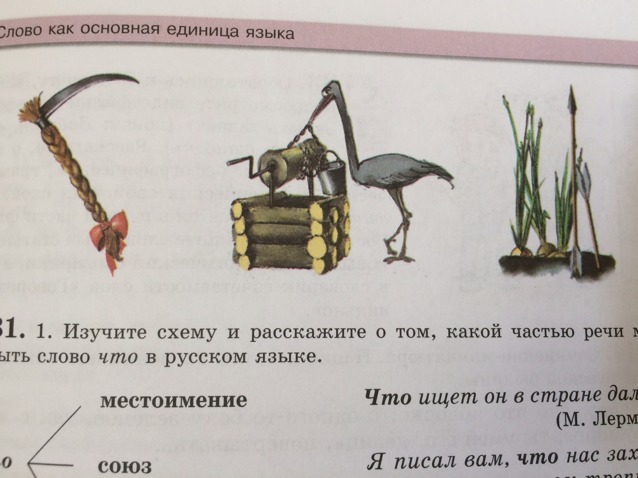 Рассмотрите рисунки составьте предложения со словами кот и стол