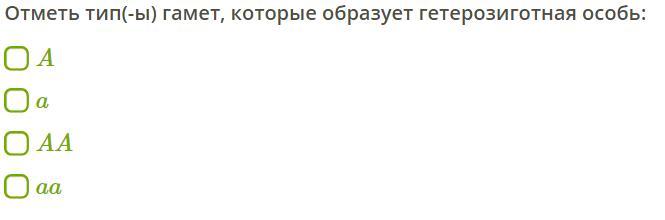 Сколько гамет образует особь. Типы гамет которые образует гетерозигота. Тип гамет который образует гетерозигота. Отметь типы гамет которые образует гетерозигота. Отметь Тип(-ы) гамет, которые образует гетерозиготная особь:.