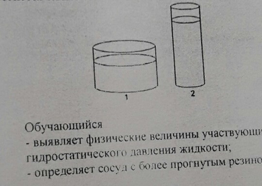 В два сосуда показанные на рисунке налили по 1 л воды