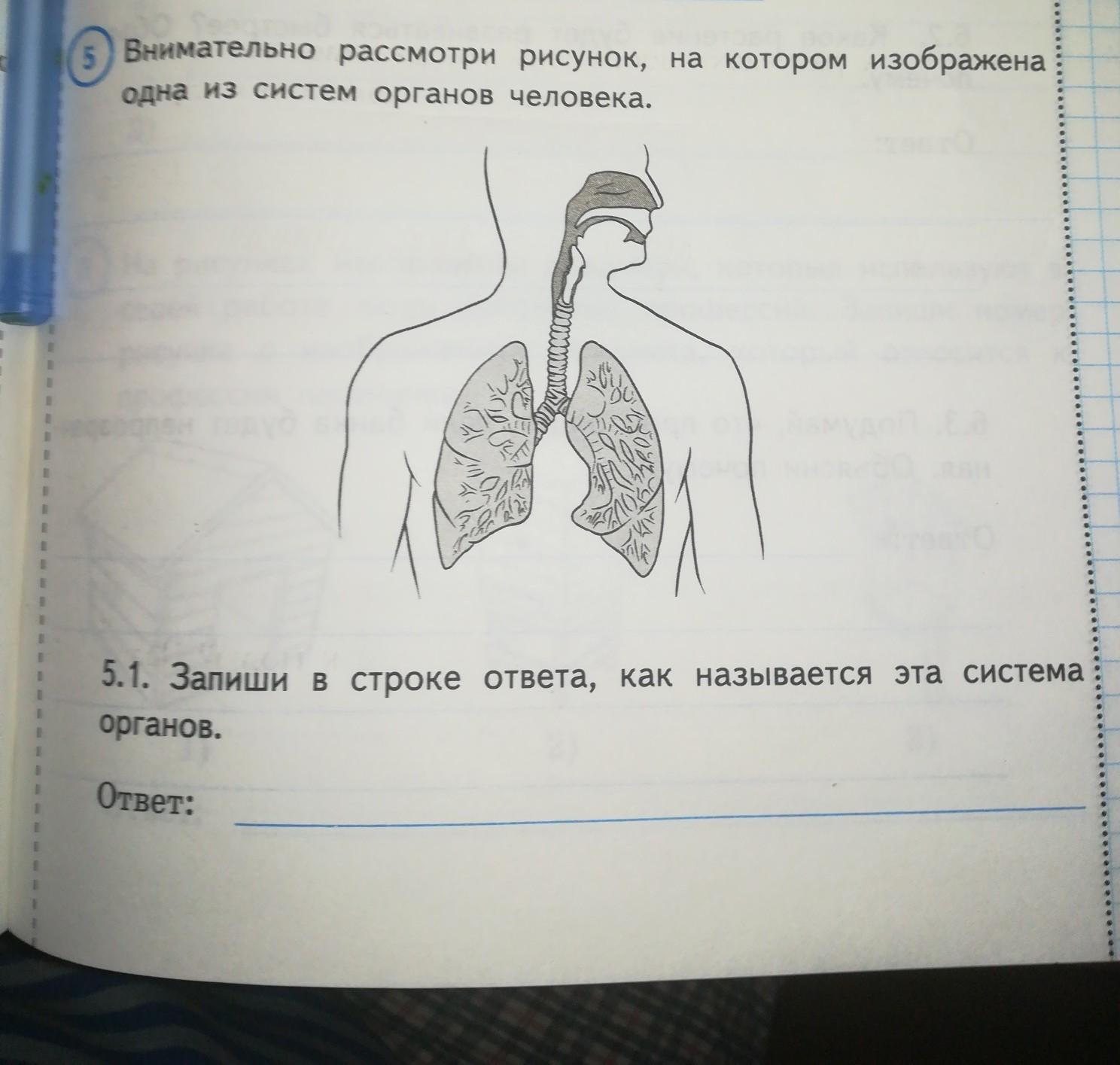 Внимательно рассмотрите предложенные рисунки укажите номер на котором изображен объект химия