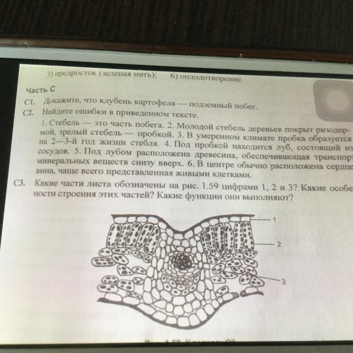Ошибки в приведенном тексте вирусы. Ошибки в приведенном тексте вирусы