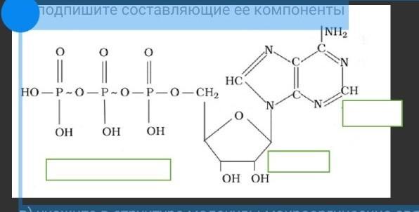 Какая молекула изображена