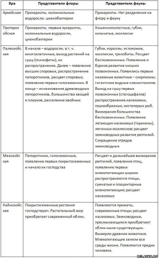 Заполните таблицу развитие жизни