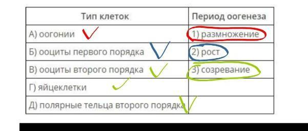 Соотнесите вопросы по схеме рост каждой из стадий рост