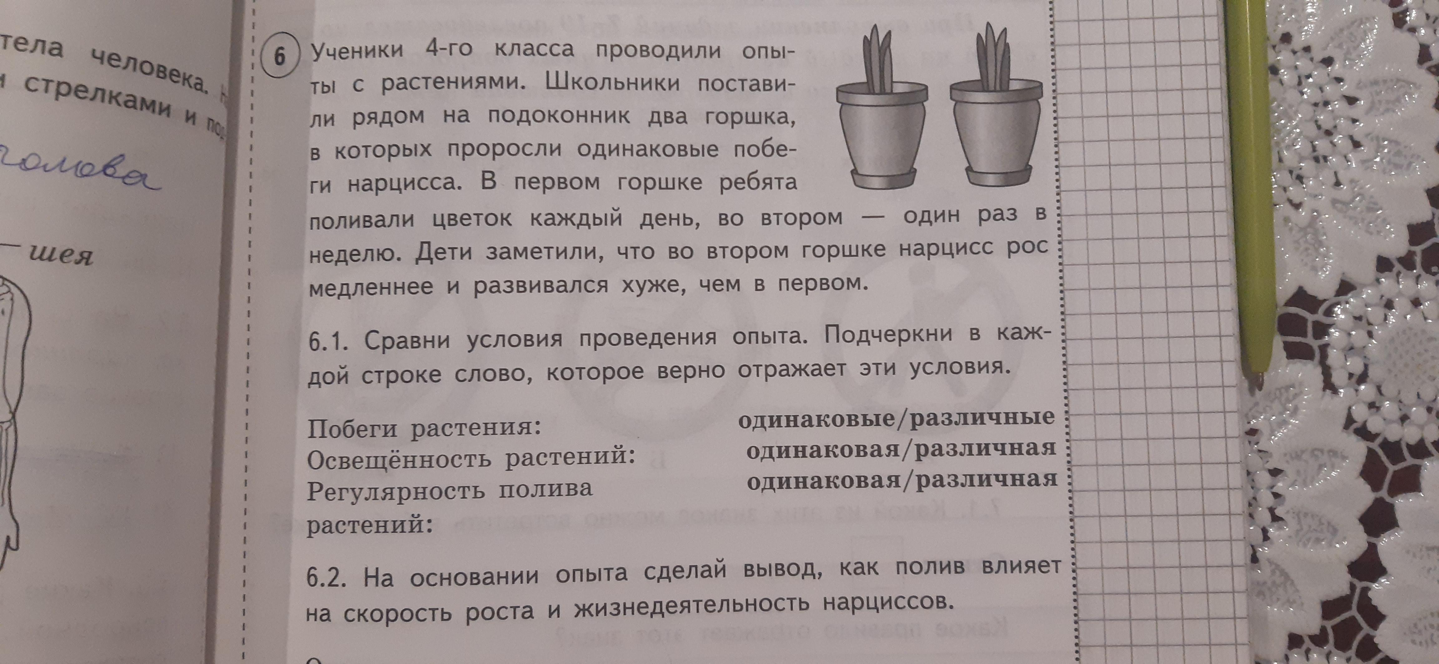 Если бы ученики захотели. Как полив влияет на скорость роста и жизнедеятельность нарциссов. Эксперимент как влияет полив на рост растения. Как освещенность влияет на рост и жизнедеятельность тюльпанов. Как регулярность полива влияет на скорость роста нарциссов.