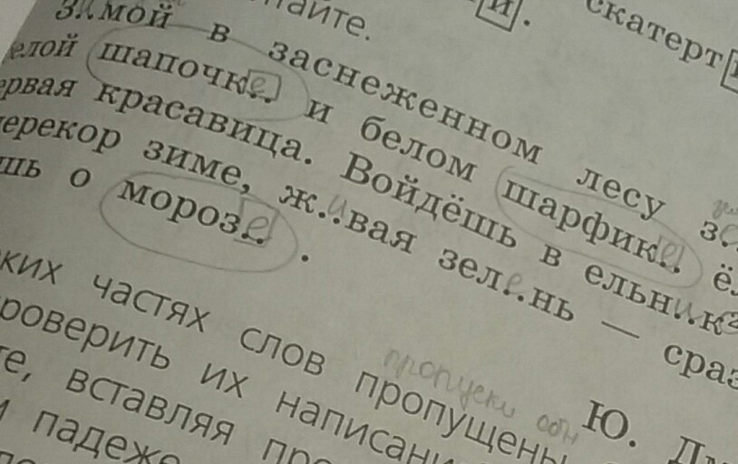 Идти по аллее падеж и склонение